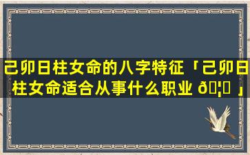 己卯日柱女命的八字特征「己卯日柱女命适合从事什么职业 🦅 」